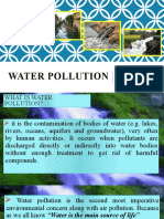 Water Pollution (Autosaved) Final