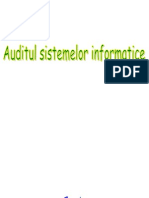 Auditul Sistemelor Informatice