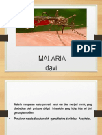 Malaria Baru