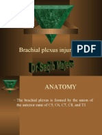 1b87brachial Plexus Injuries