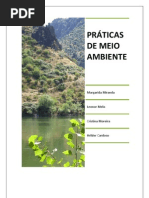 Microsoft Word - Trabalho HST Margarida Cristina Leonor Helder