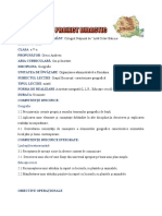 Proiect-didactic - Grecu Andreea