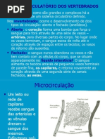 Sistema Circulatorio