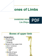 The Bones of Limbs: Liu Zhiyu