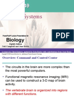 Nervous Systems: Biology