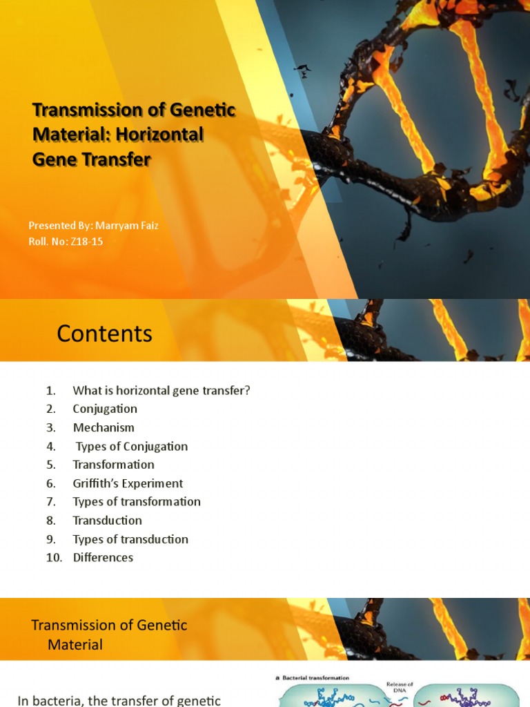 Horizontal Gene Transfer in Bacteria | PDF | Medical Specialties ...