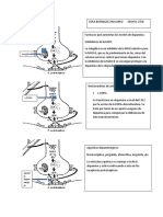 Antiparkinsonianos