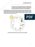 Food Chain and Food Web