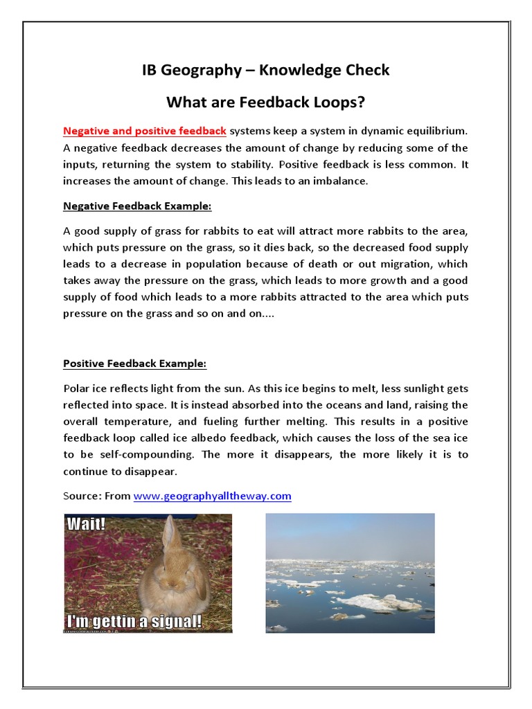 Understanding Feedback Loops in Geography | PDF