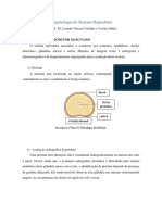 Imaginologia do Sistema Reprodutor: Próstata e Testículos