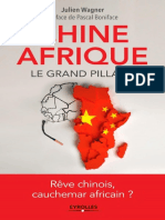 Chine-Afrique Le Grand Pillage Julien WAGNER