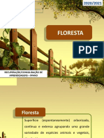3 - Floresta - Versão Discente