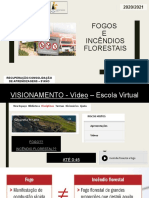 4 - Fogos - Incêndios Florestais - Versão Discente