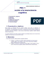 Pec1 - Neurociencia Cognitiva Avanzada - Israel Rodriguez Cordovillo