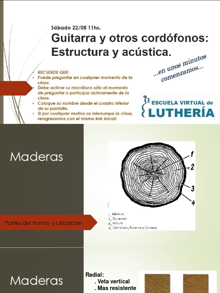 1º Clase | PDF | Guitarras | Instrumentos musicales