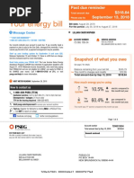 PSEG Utility Bill Sample for NJ | PDF | Cheque | Watt