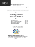 Classification of Fruits and Detection of Disease Using CNN: Bachelor of Engineering IN Information Technology