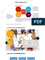 Práctica de La Experimentación - Mentalidad Emprendedora