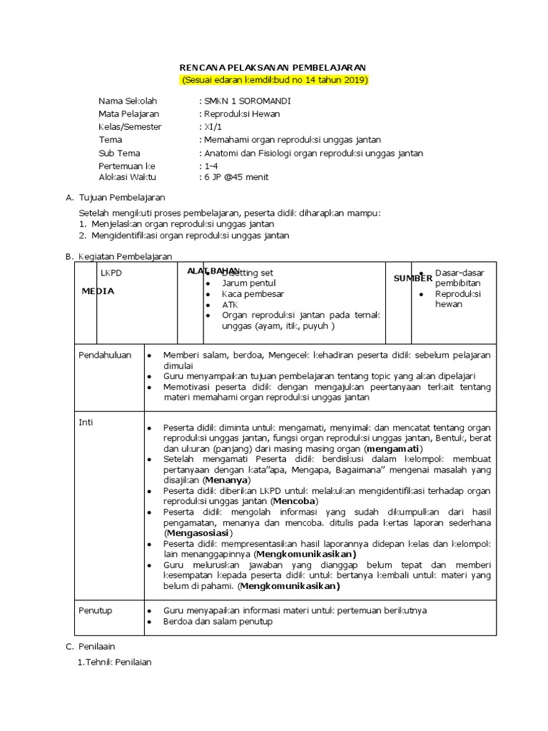 6600 Koleksi Gambar Organ Reproduksi Unggas Jantan Gratis Terbaik
