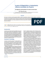 Artículo - Claves clínicas para el diagnóstico y tratamiento úlceras corneales