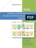 50821043 Cortes Transversales en Plantas Monocotiledoneas y Dicotiledoneas
