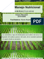 Plan de Manejo Nutricional Cultivo de Arroz (Oryza Sativa)