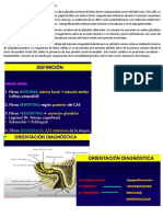 11diagnostico Topográfico - Parálisis Facial