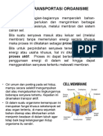 Kuliah 11 Sistem Transport Organisme