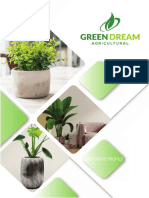 Company Profile Indoor Plants