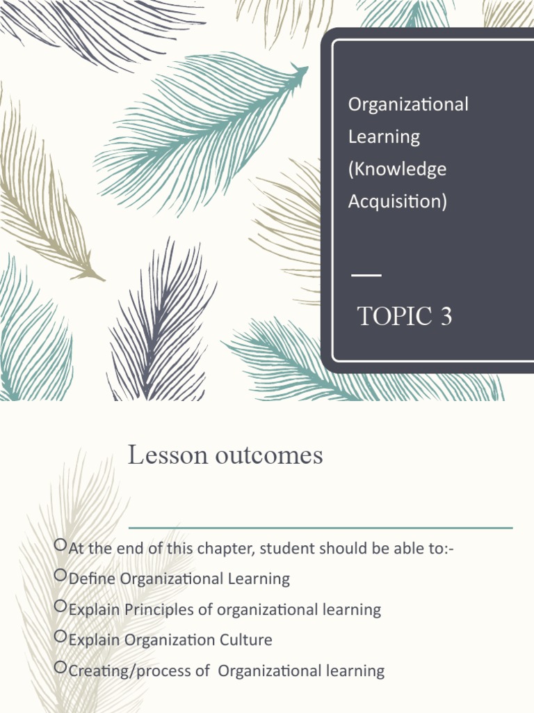 Chapter 3 Knowledge Management | PDF | Mentorship | Leadership