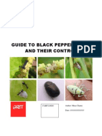 Black Pepper Field Guide