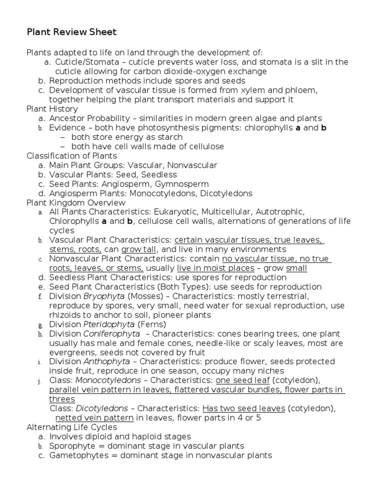 Plant Review Sheet - Biology | PDF | Leaf | Plants