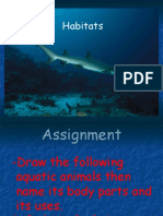 Habitats Assignment: Draw Aquatic Animals and Name Body Parts