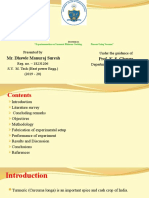 Dissertation PPT On Turmeric Processing