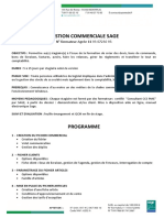 Programme Sage Gestion Commerciale