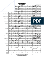 AIRES VARIADO 2 Clarinets Soloists - Partitura y Partes
