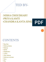 Presented By-: Nisha Choudhary - Priya Kamti - Chandra Kanta Singha