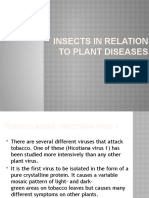 Insects in Relation To Plant Diseases
