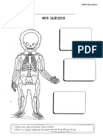 sistema oseo 5 AÑOS