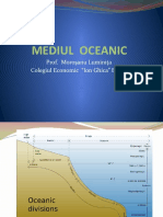 Mediul Oceanic