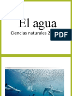 El Agua y Sus Cambios