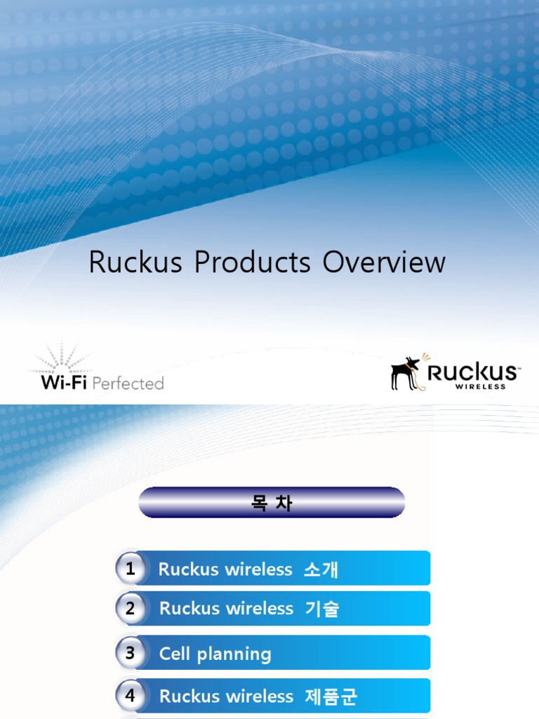 11ruckus소개자료 Wi Fi Networks