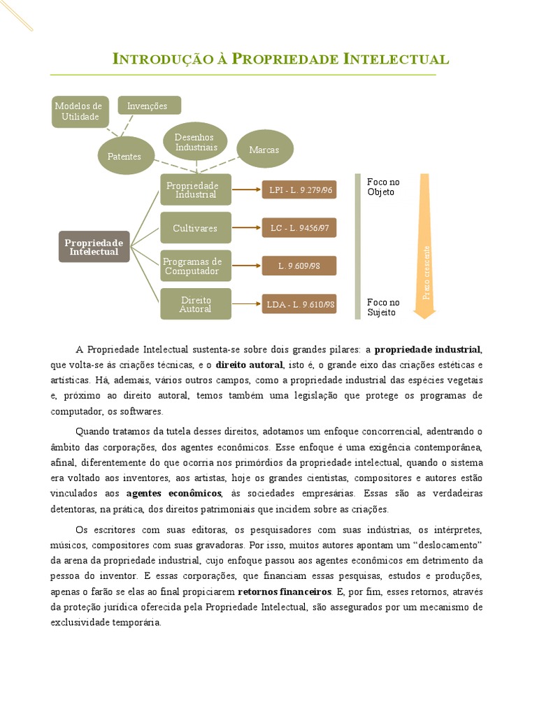 Uma Introdução à Divisão e Fundamentos da Propriedade Intelectual ...