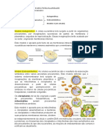 Bg-11ºano - Resumo