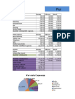 Punnet's Yearly Budget For 2020: Variable Expenses