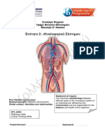 unit 2 Φυλλάδιο Κυκλοφορικό Σύστημα ΜΥΡ