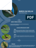 Birds in Delhi: by Aditya Prakash Tripathi