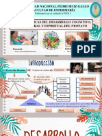 Caracteríticas Del Desarrollo Cognitivo, Social, Moral, Espiritual