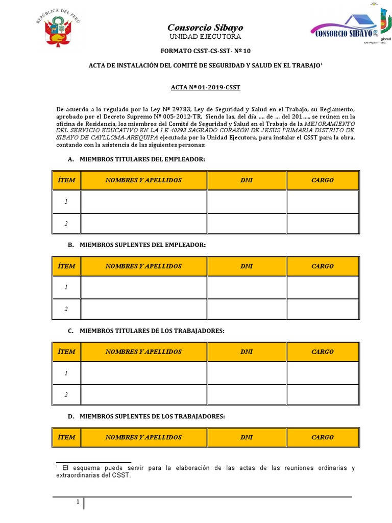 Formato CSST-CS-SST - #10 | PDF | Gobierno | Justicia