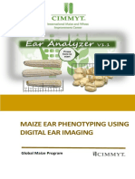 Maize Ear Phenotyping Using Digital Ear Imaging